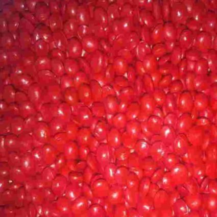 Мастербатч красный (MASTERBATCH POLYCOLOR RED 04036)